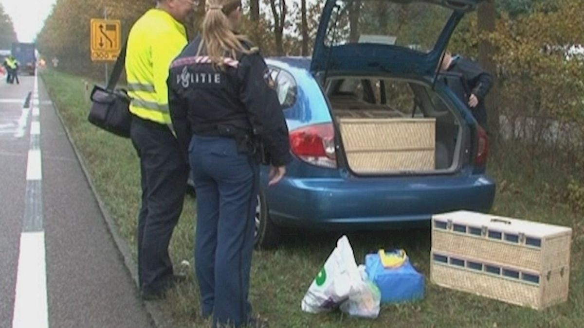 Engelsman gewond op N34 bij Rheezerveen