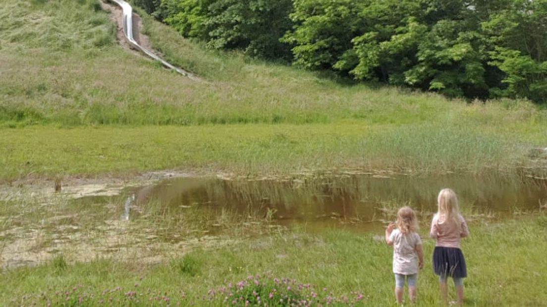 Het Steenbergerpark (Rechten: Linda Thalen)