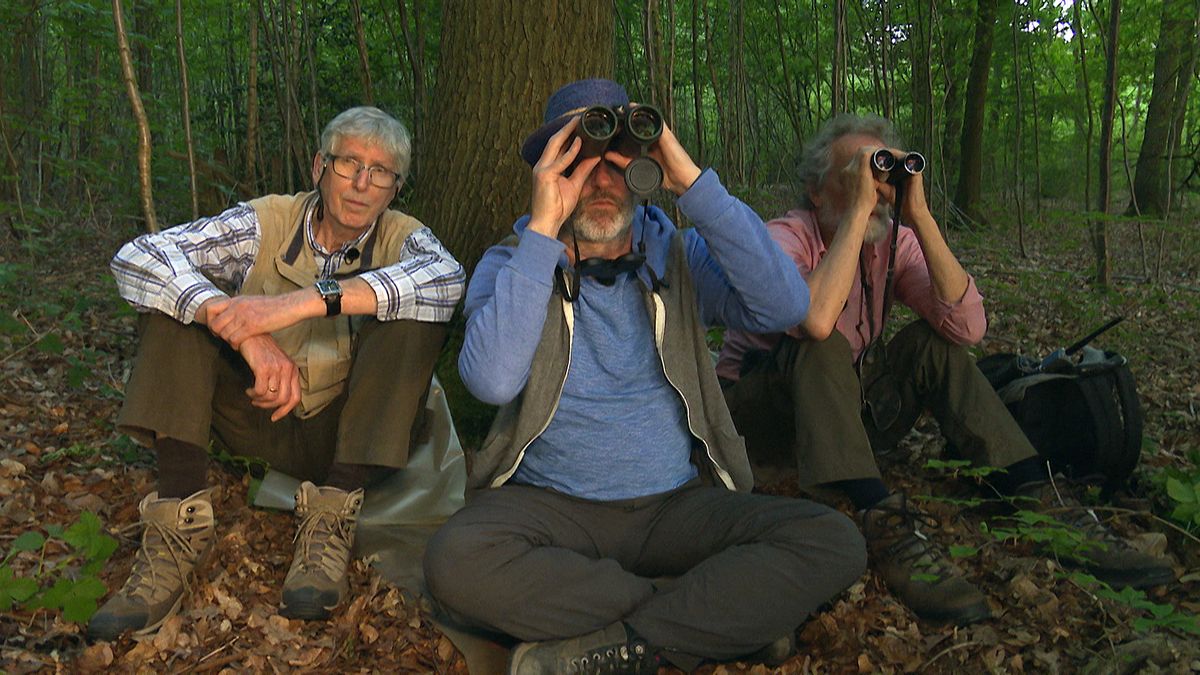 Natuurlijk Zoëy: Laat de boommarter zich zien in Groenekan?