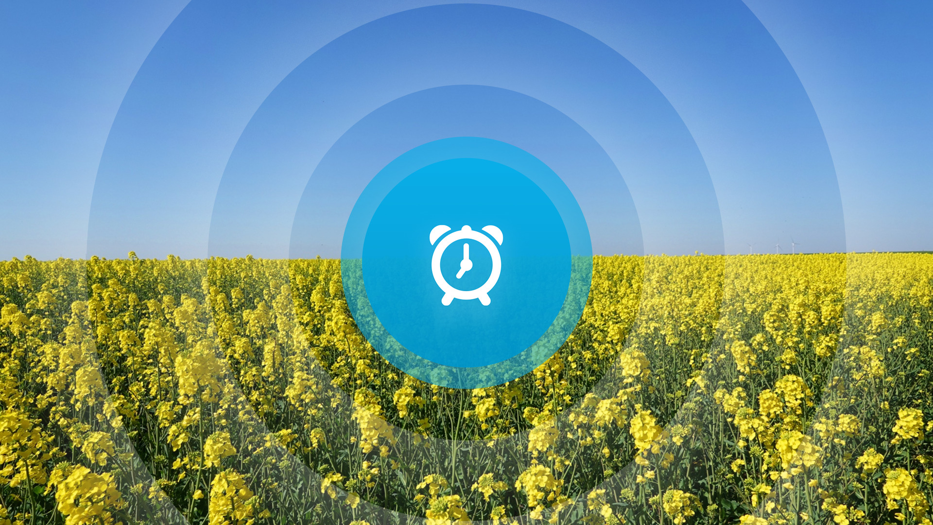 Goedemorgen! Adviezen gemeentebesturen, onderscheiding Bouzambou en stormnamen