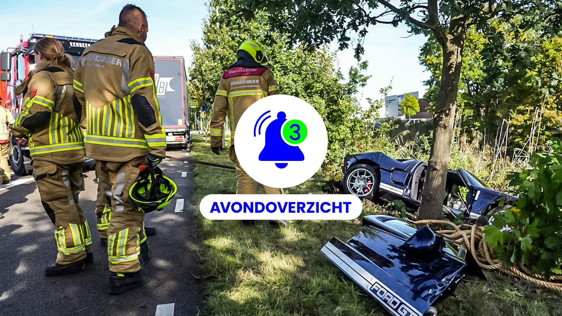 Einde voor dolfijnen in Harderwijk, peperdure sportwagen crasht en grote brand op dinsdag 14 oktober