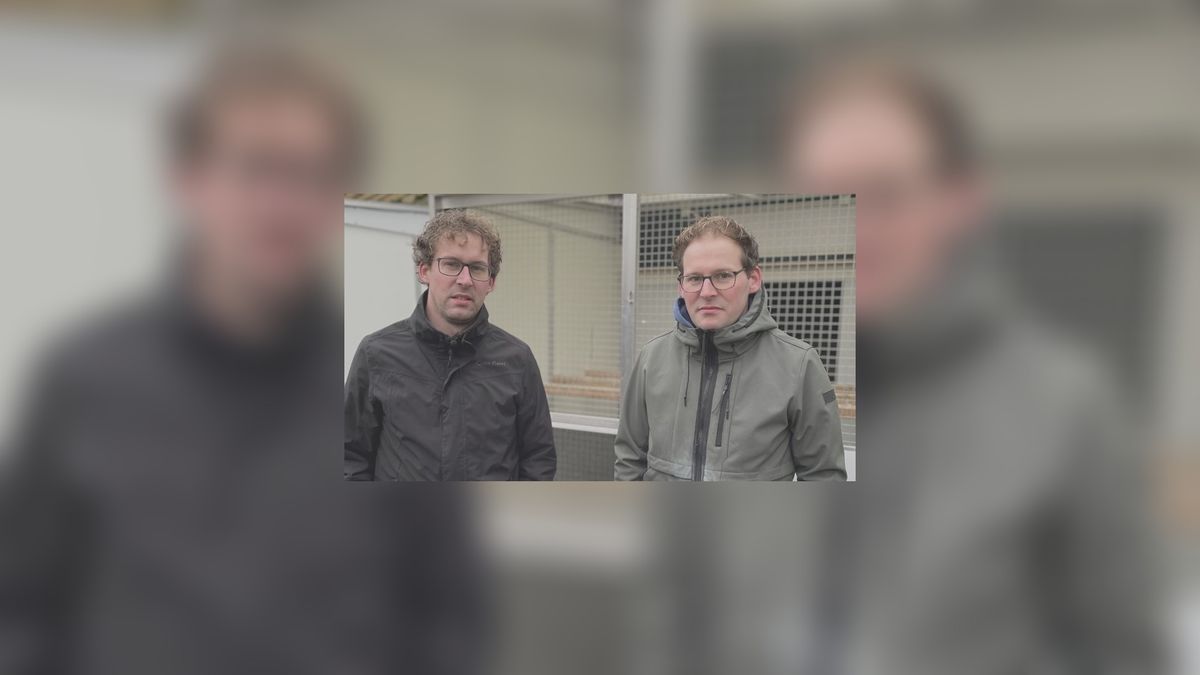 Beladen wike foar melkers nei dieverij fan hûndert dowen yn Steggerda