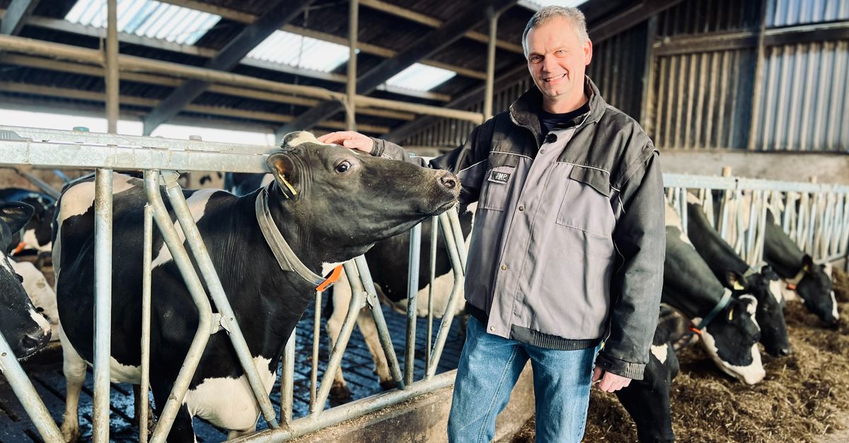 Met deze nieuwe uitvinding moeten ook koeien een overstroming overleven