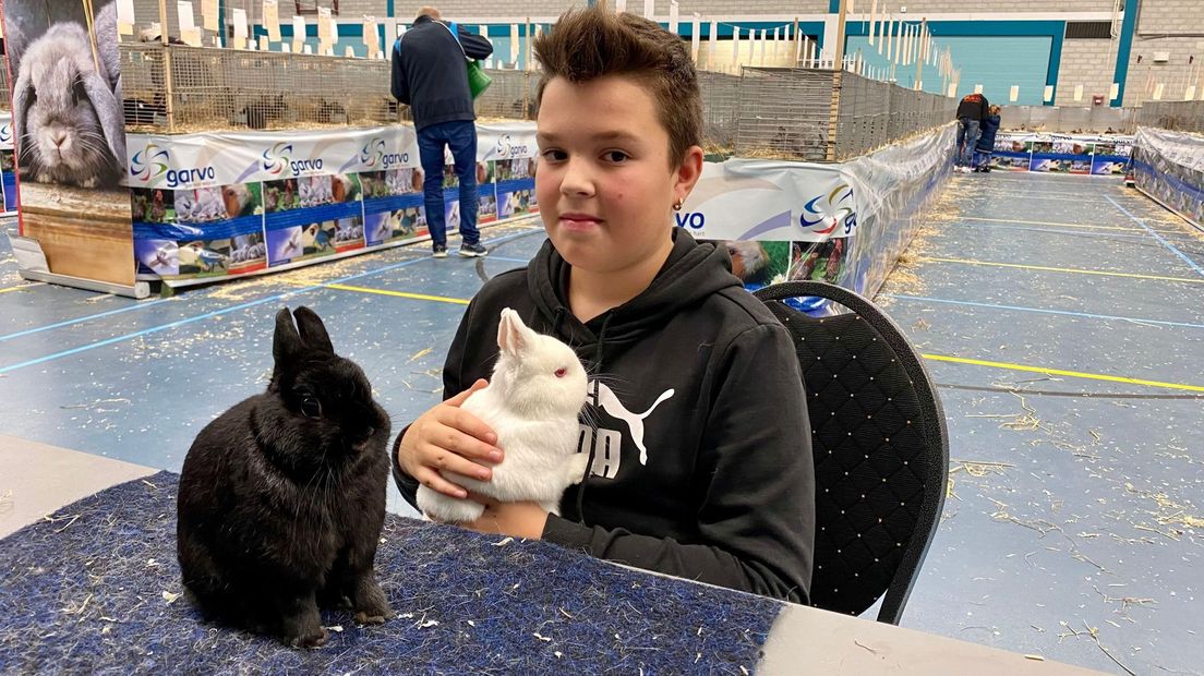 Tijs Roskam is een van de jongere fokkers en heeft flink wat prijzen binnengehaald met zijn konijnen