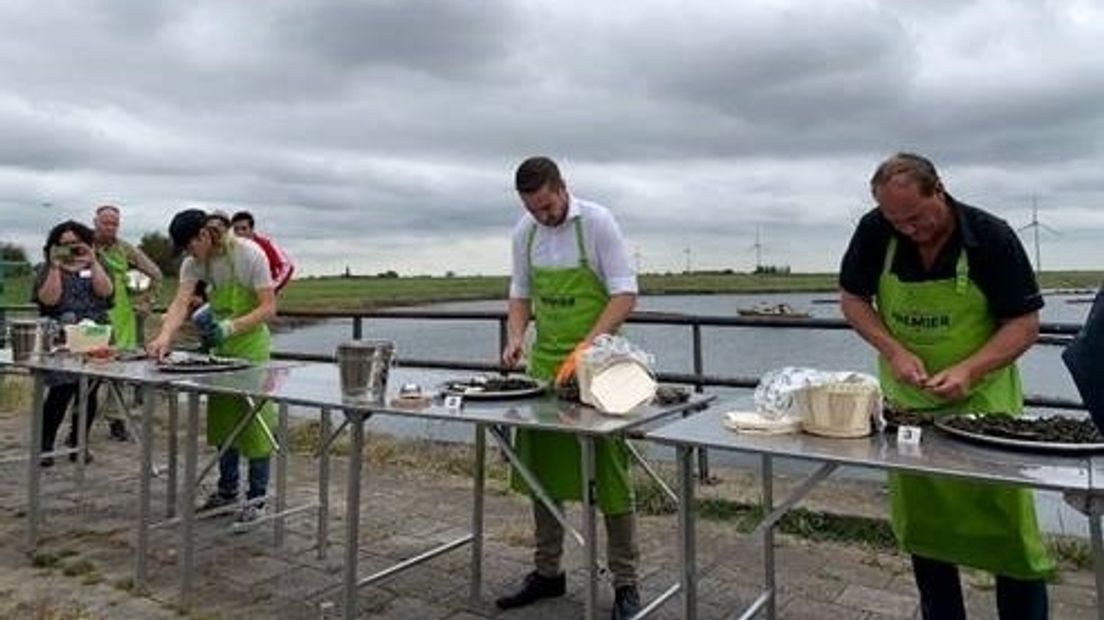 Het NK oestersteken in Bruinisse.