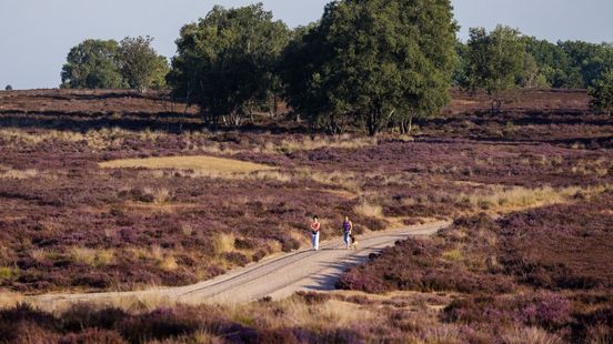 'Grootste piekbelaster’ stopt: nieuwe woningen op plek stallen