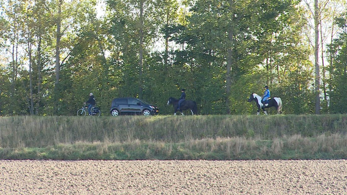 De ruiters en hun paarden moeten vaak over wegen rijden waar ook veel ander verkeer komt