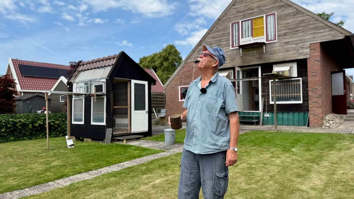 156 km in 2 uur: jonge duiven van Tinus maken vliegende start na tragedie
