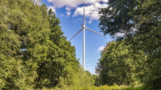Nog geen twee procent van de Nederlandse windmolens staat in Limburg, maar het aantal neemt toe Home