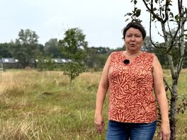 Perenboompjes van Michael en Petra uit Peize staan op de verkeerde plek: 'Landschap moet hetzelfde blijven'