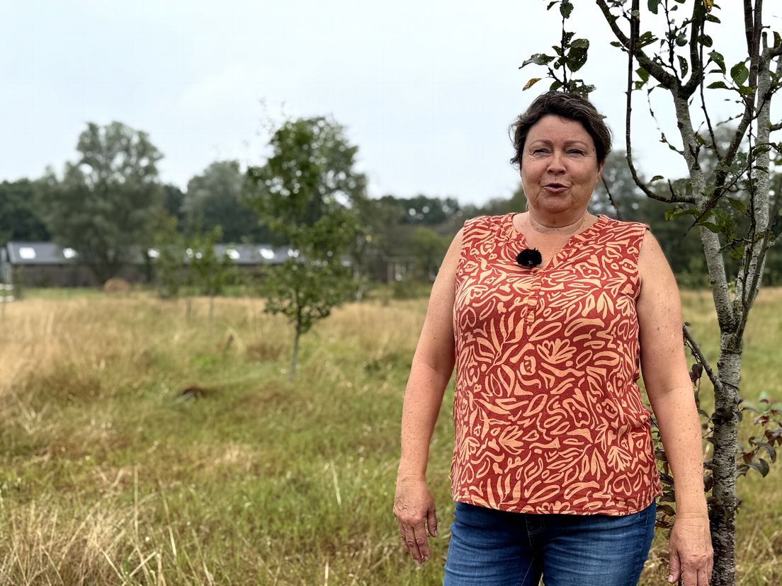 Perenboompjes van Michael en Petra uit Peize staan op de verkeerde plek: 'Landschap moet hetzelfde blijven'
