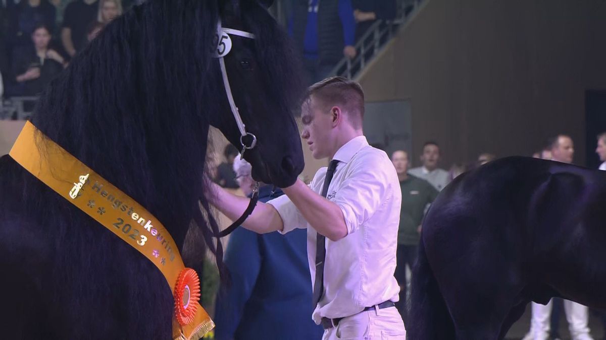 Jurre 495 voor de vijfde keer algemeen kampioen op Friese