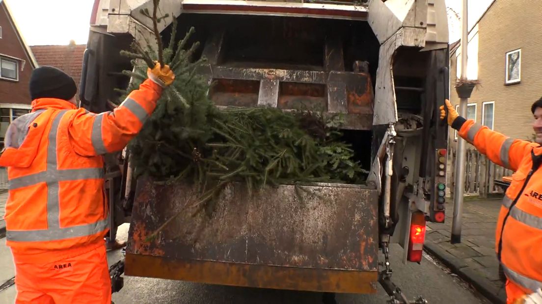 De mannen van Area gooien een kerstboom in de vuilniswagen (Rechten: RTV Drenthe)