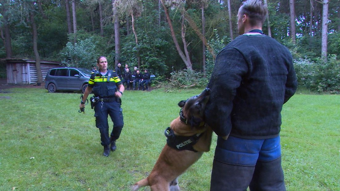 'Een politiehond is een wapen' (video)
