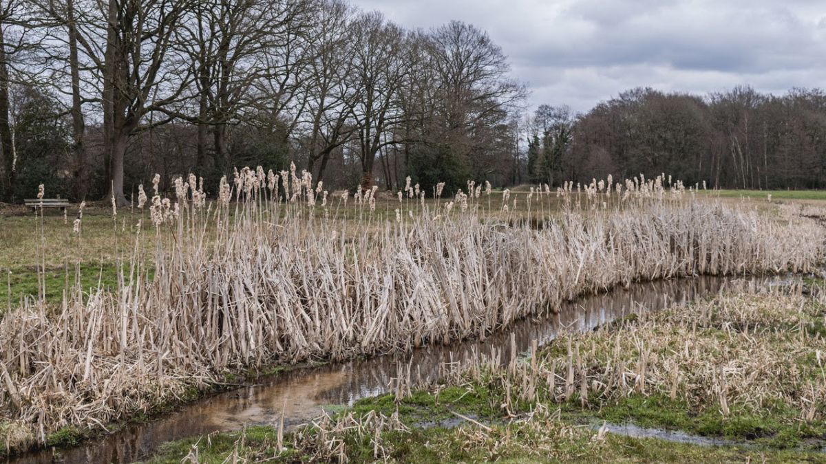 Herstelwerk in het Springendal geeft maanden overlast voor verkeer en recreatie