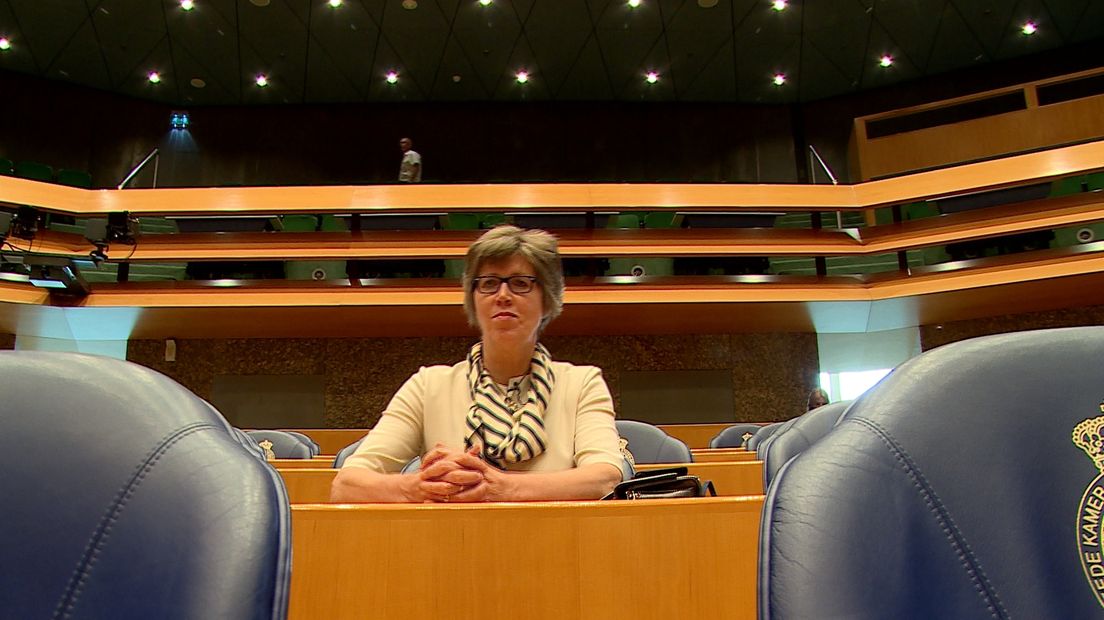 Tweede Kamerlid Joba van den Berg (CDA)