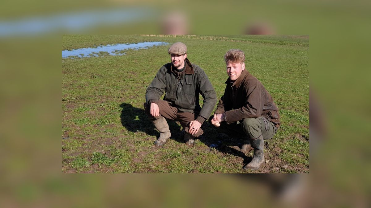 Eerste kievitsei van Dantumadiel en Noardeast-Fryslân gevonden
