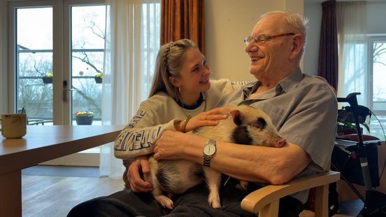 Knorren en knuffelen: minivarkentje Babs vrolijkt ouderen in dit verpleeghuis op