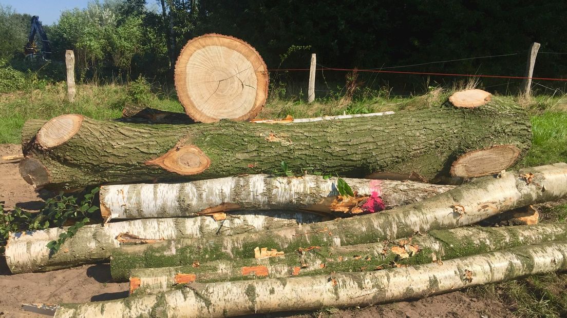 Eerste bomen t.b.v. N18 gekapt