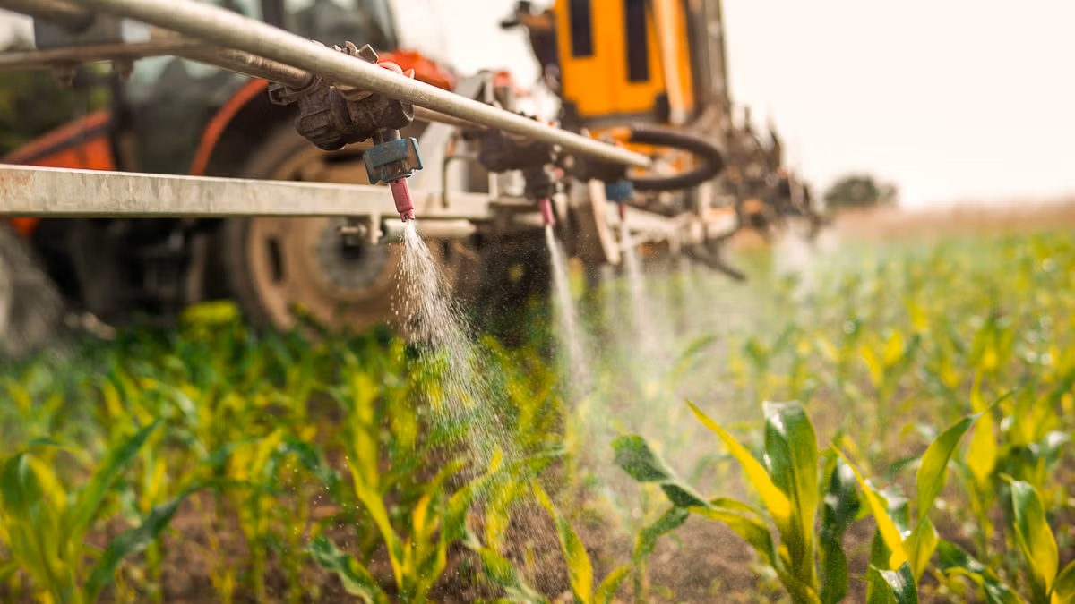 Zeeuwse boeren en telers gaan aan de slag voor schoner water