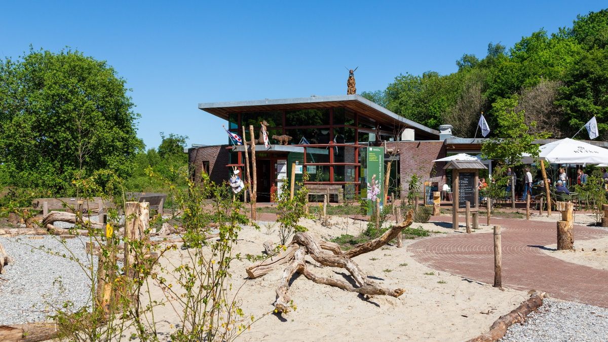 Einde dreigt voor bezoekerscentrum in Appelscha, Staatsbosbeheer heeft te weinig geld