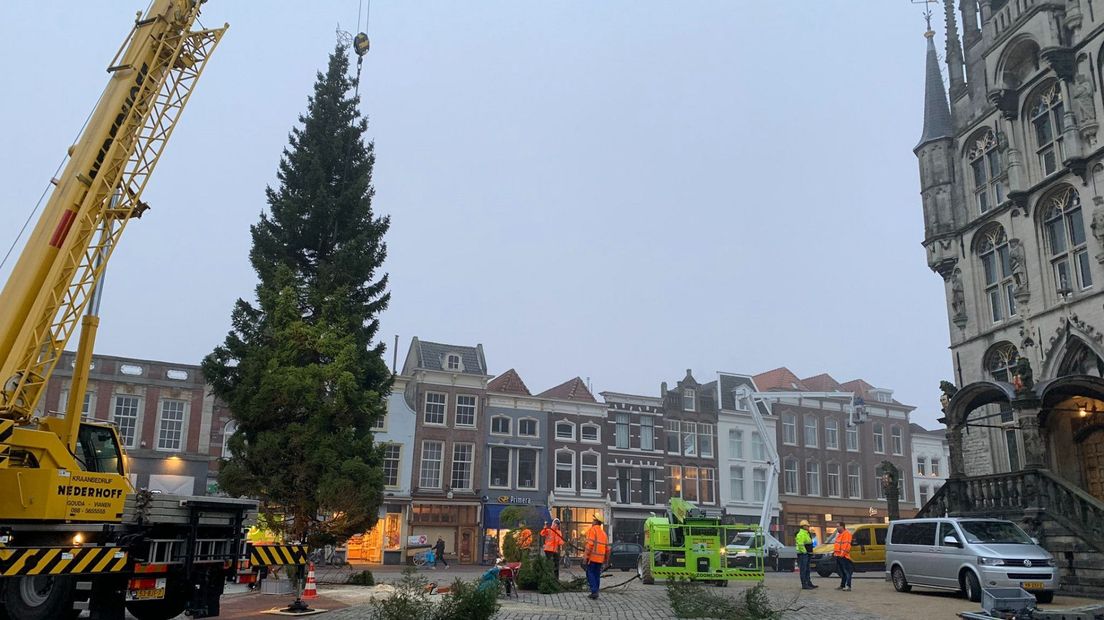 De kerstboom komt aan op de Markt in Gouda