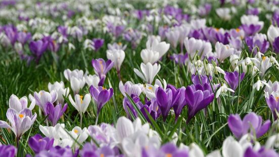 Het wordt weer heerlijk lenteweer