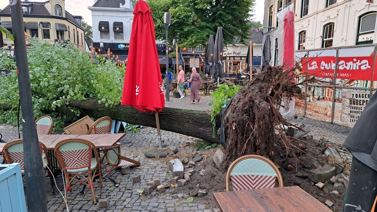 Noodweer treft Overijssel: omgewaaide bomen, blikseminslag en wateroverlast