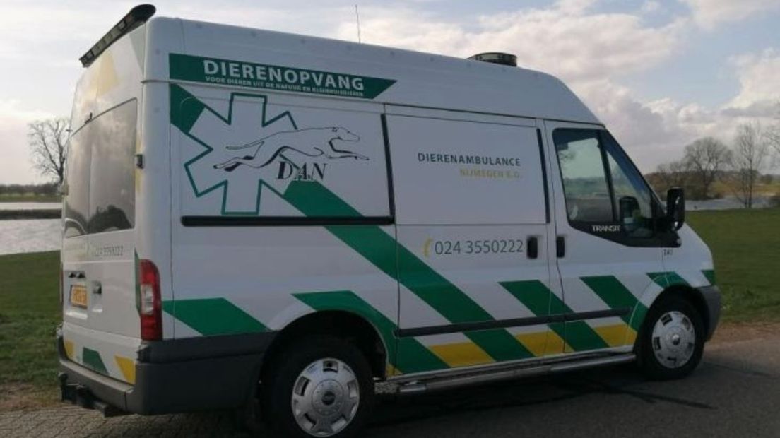 Help jij mee aan een warme winter voor dieren?