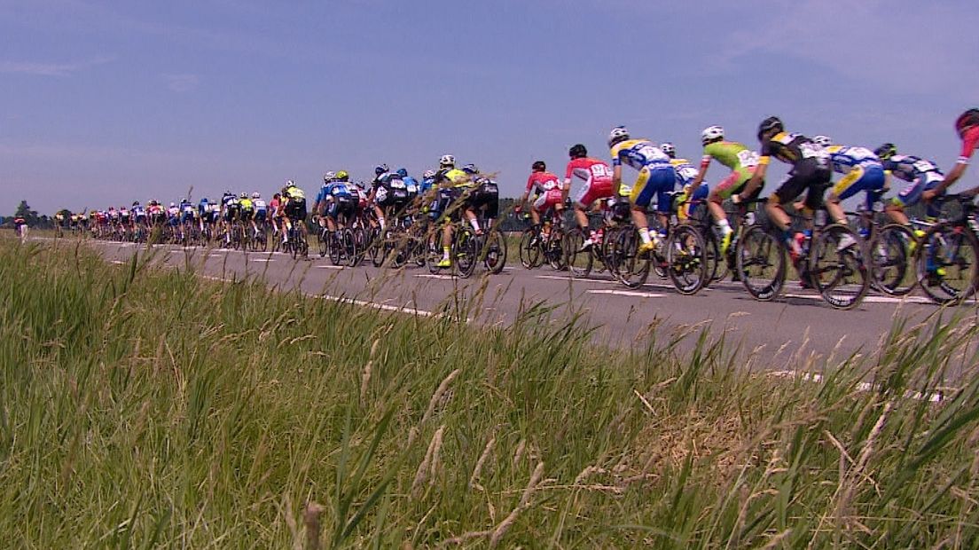 Het peloton rijdt over Tholen tijdens een etappe van de Ster ZLM Toer