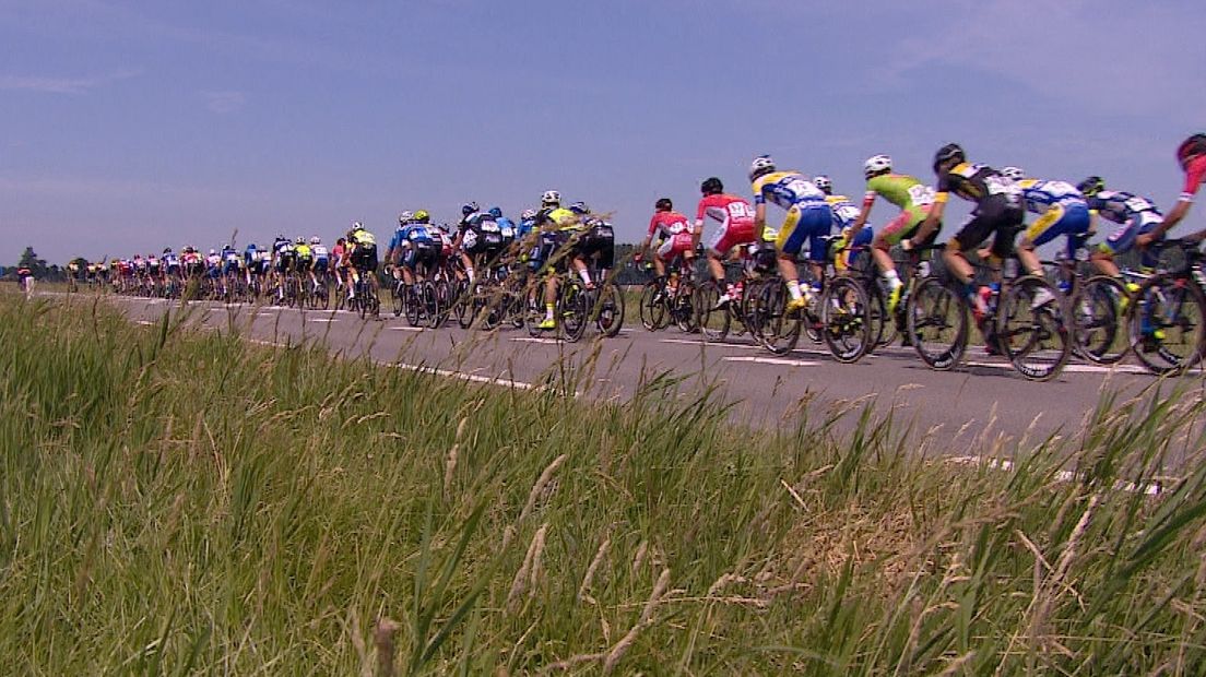 Het peloton rijdt over Tholen tijdens de tweede etappe van de Ster ZLM Toer