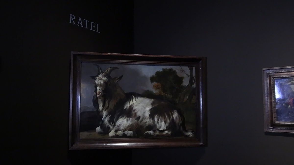 de 17e eeuwse kunstenaarsgroep Bentvuegels nu in het Centraal Museum
