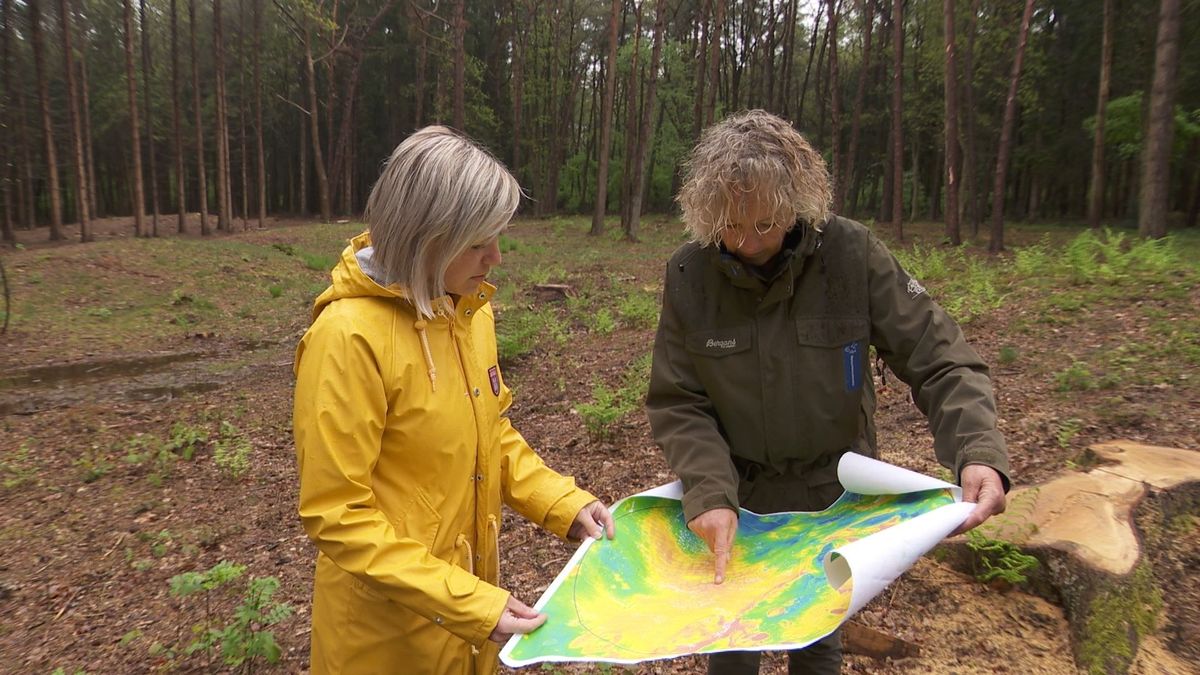 Nauwelijks zichtbaar maar 'fascinerend': prehistorische akkers op het Dwingelderveld