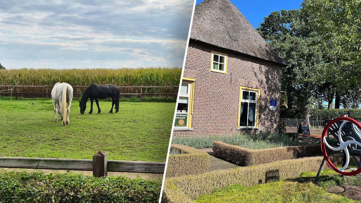 Overasselt verlangt naar rust: 'Dit verdient het dorp niet'