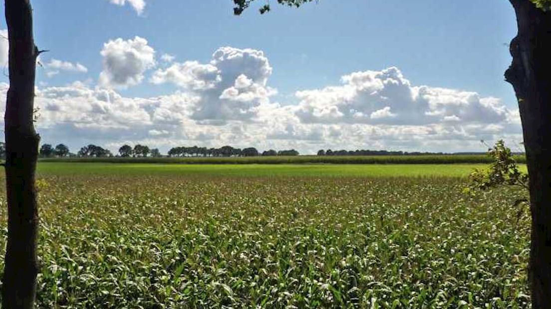 Slot op landgoed
