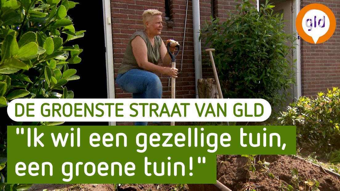 De Groenste Straat van Gelderland - Deest