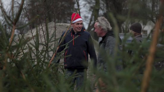 Droom komt uit voor kerstboomverkoper Tom