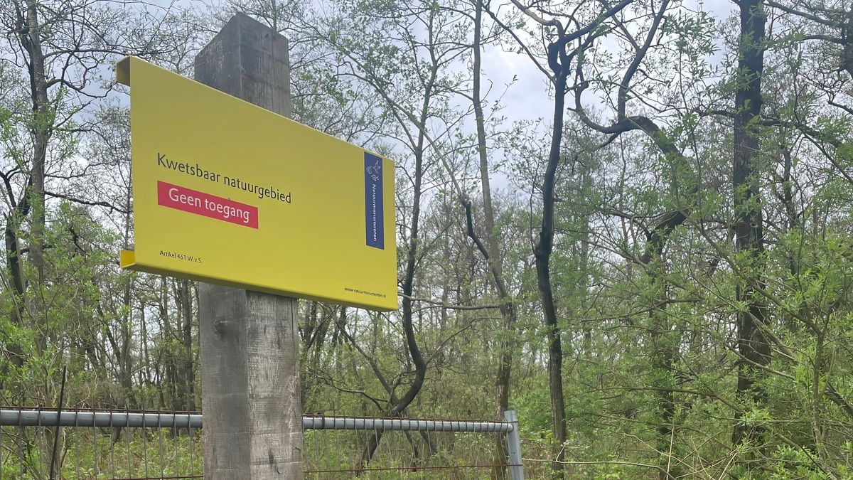 Het Friescheveen: van recreatieplas naar rustgebied