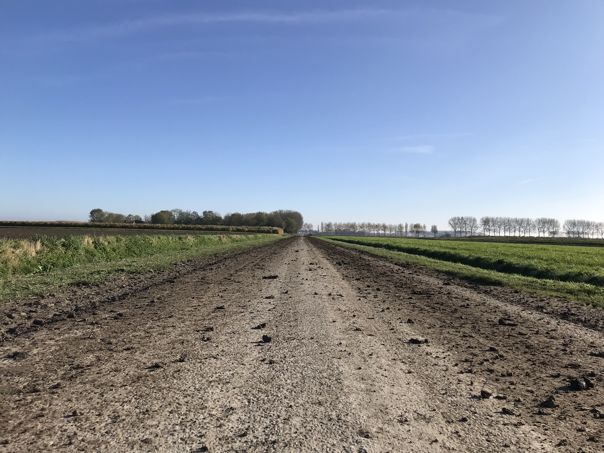 Opgepast: slik op de weg! Dit kun je doen om een ongeluk te voorkomen