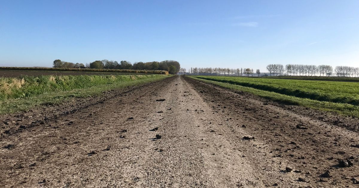 Opgepast: slik op de weg! Dit kun je doen om een ongeluk te voorkomen