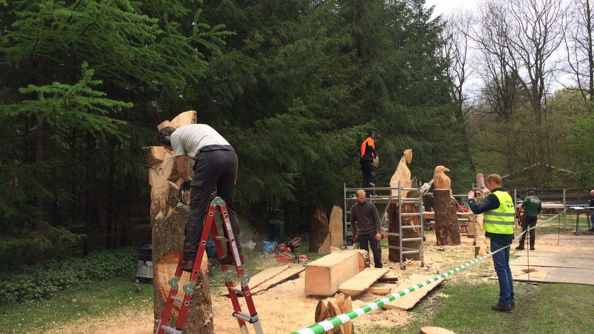 Jeroen Boersma zaagt zich naar overwinning Carving Cup Drouwen