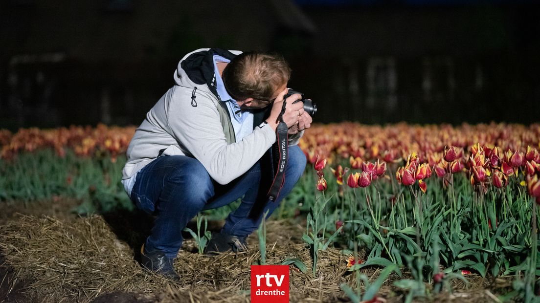 De tulpen zijn een geliefd foto-object (Rechten: RTV Drenthe/Kim Stellingwerf)