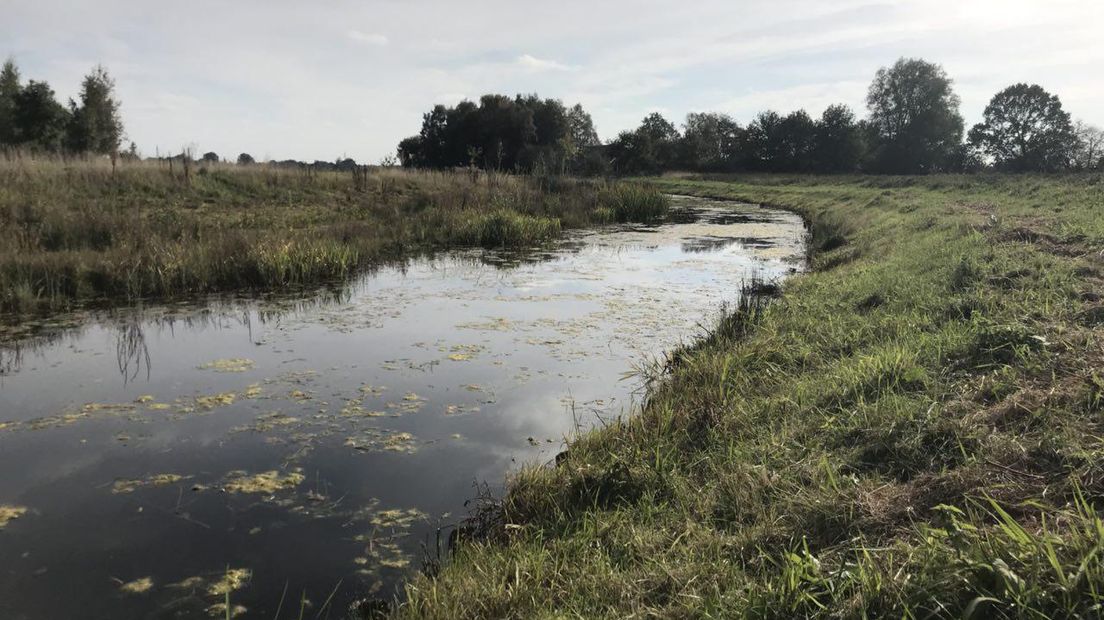 Het Oude Diep bij Echten (Rechten: RTV Drenthe / Erwin Kikkers