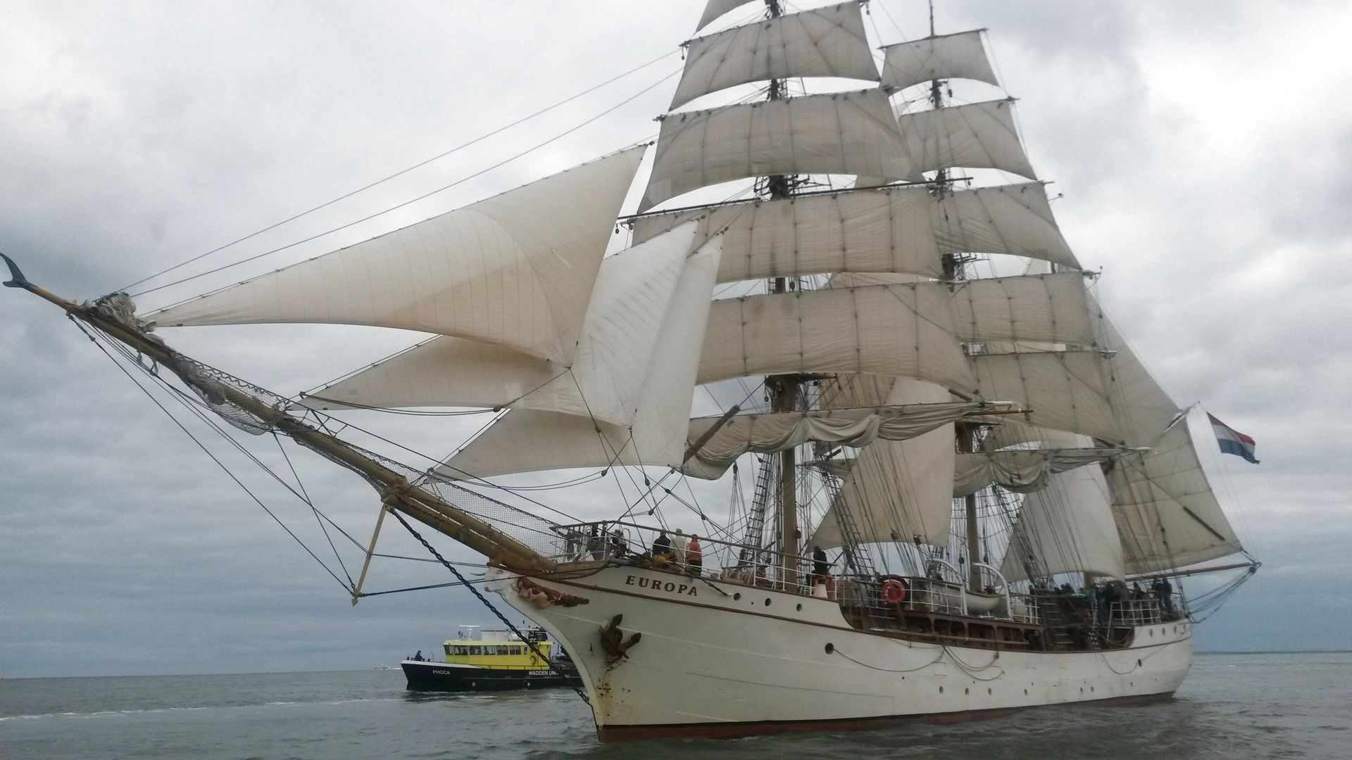 Bark Europa