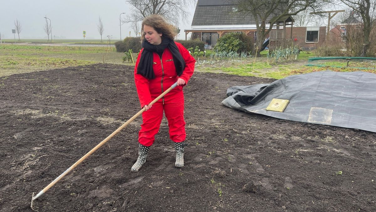 Het Grunnegs toentje van Sanne Meijer: historie en tuinieren samengebracht
