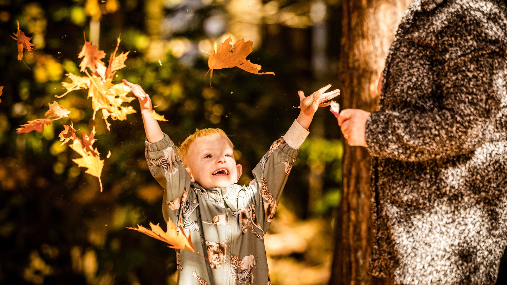 Dit is er dit weekend te doen in Gelderland