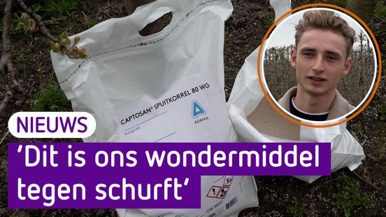 Ruben van Zoelen wil Captan blijven gebruiken in zijn boomgaard