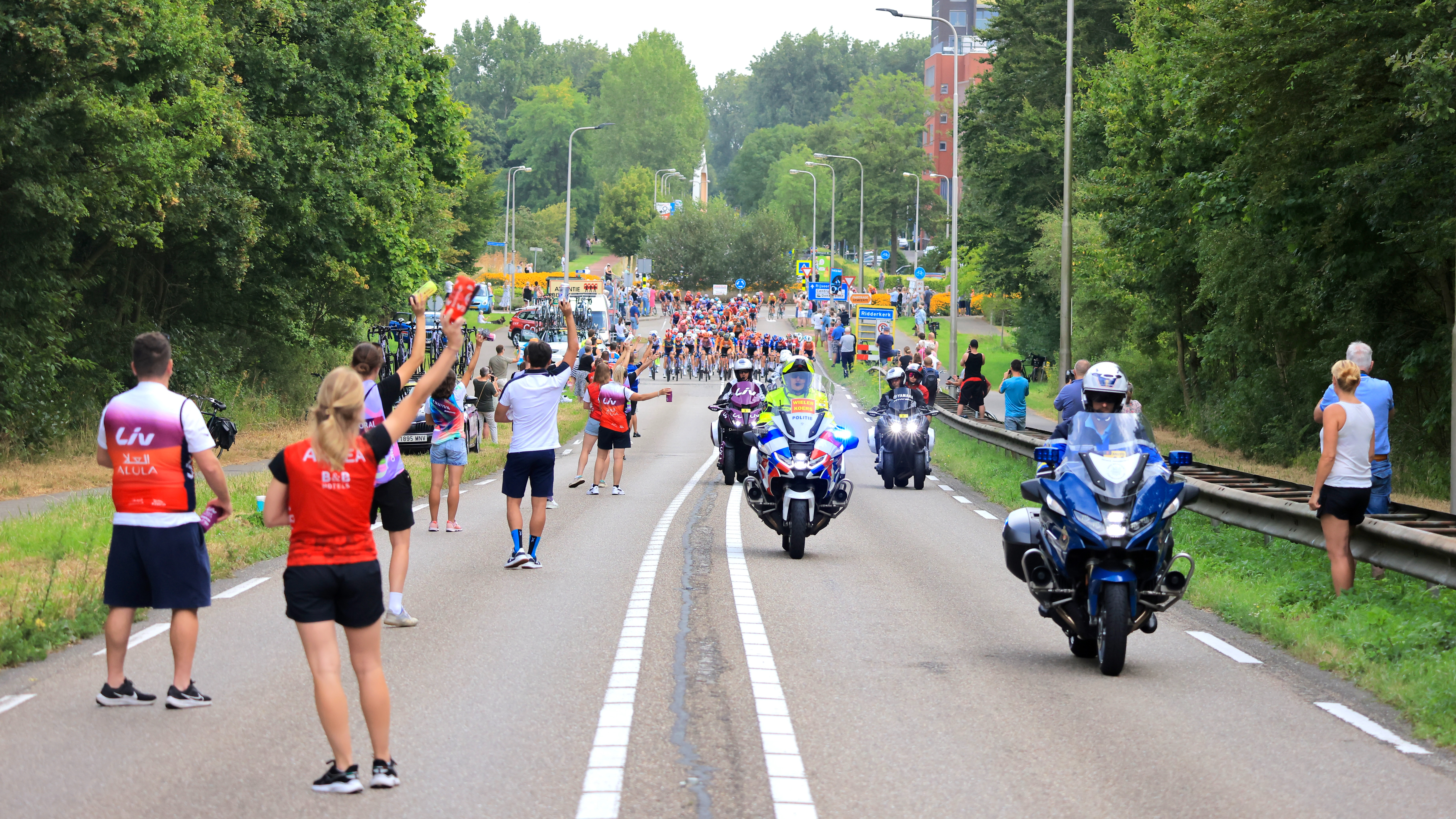 De rensters bij Ridderkerk