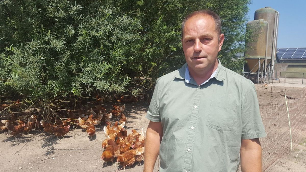 Omwonenden pikken megastal pluimveehouder Welsum niet, nieuwe bezwaarschriften op komst