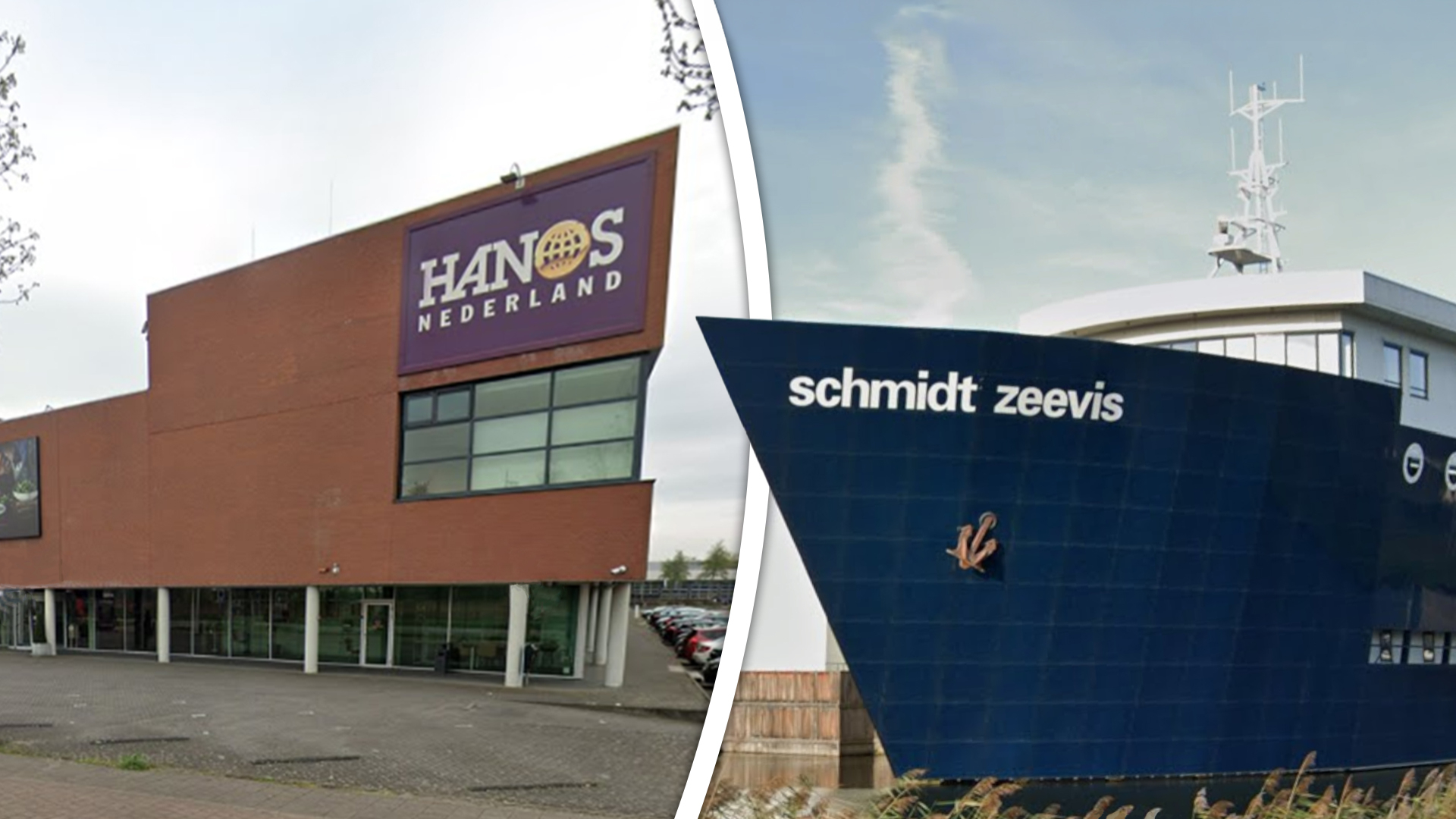HANOS wil Schmidt Zeevis overnemen.